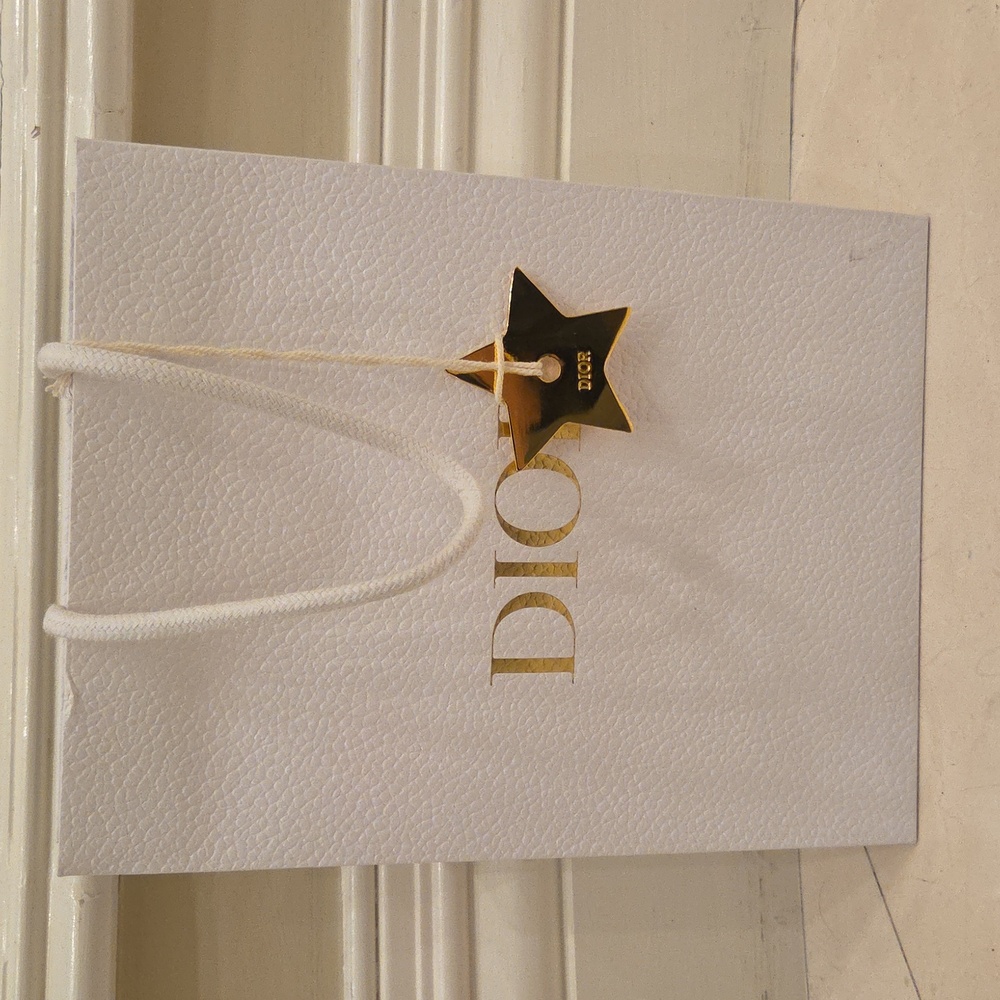 NEW AUTHENTIC CHRISTIAN DIOR PAPER SHOPPING GIFT BAG With GOLD CHARM 10"× 8"